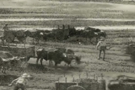Sal de mar