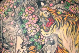 Significado del Tigre