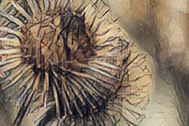 ¿Cómo se inventó el VELCRO®?