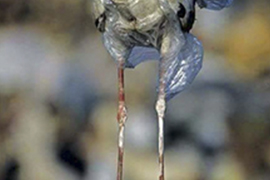 National Geographic