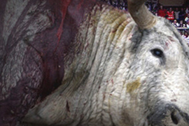 La tauromaquia es violencia