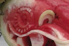 Ancestros Emplumados II