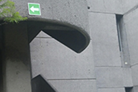 Líneas y curvas