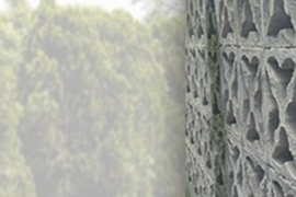 Pared de estrellas